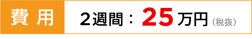 費用：1週間：20万円（税抜）