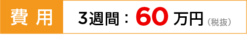 費用：3週間：60万円（税抜）