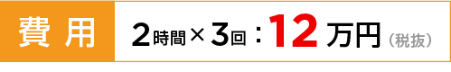 費用：2時間×3階：12万円（税抜)